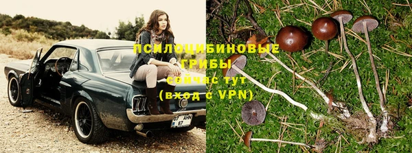 кокс Волосово