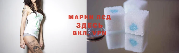 ПСИЛОЦИБИНОВЫЕ ГРИБЫ Горнозаводск