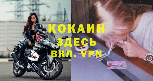 ПСИЛОЦИБИНОВЫЕ ГРИБЫ Горнозаводск