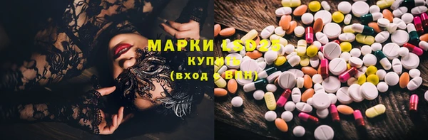 ПСИЛОЦИБИНОВЫЕ ГРИБЫ Горнозаводск