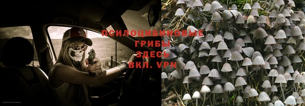 spice Волоколамск