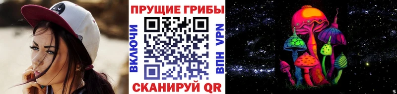 Галлюциногенные грибы ЛСД  ОМГ ОМГ как зайти  Звенигород 