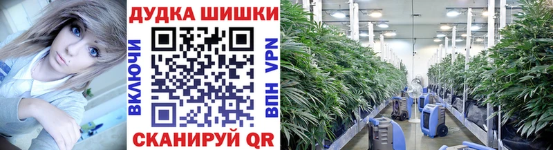 купить  цена  Звенигород  МАРИХУАНА THC 21% 